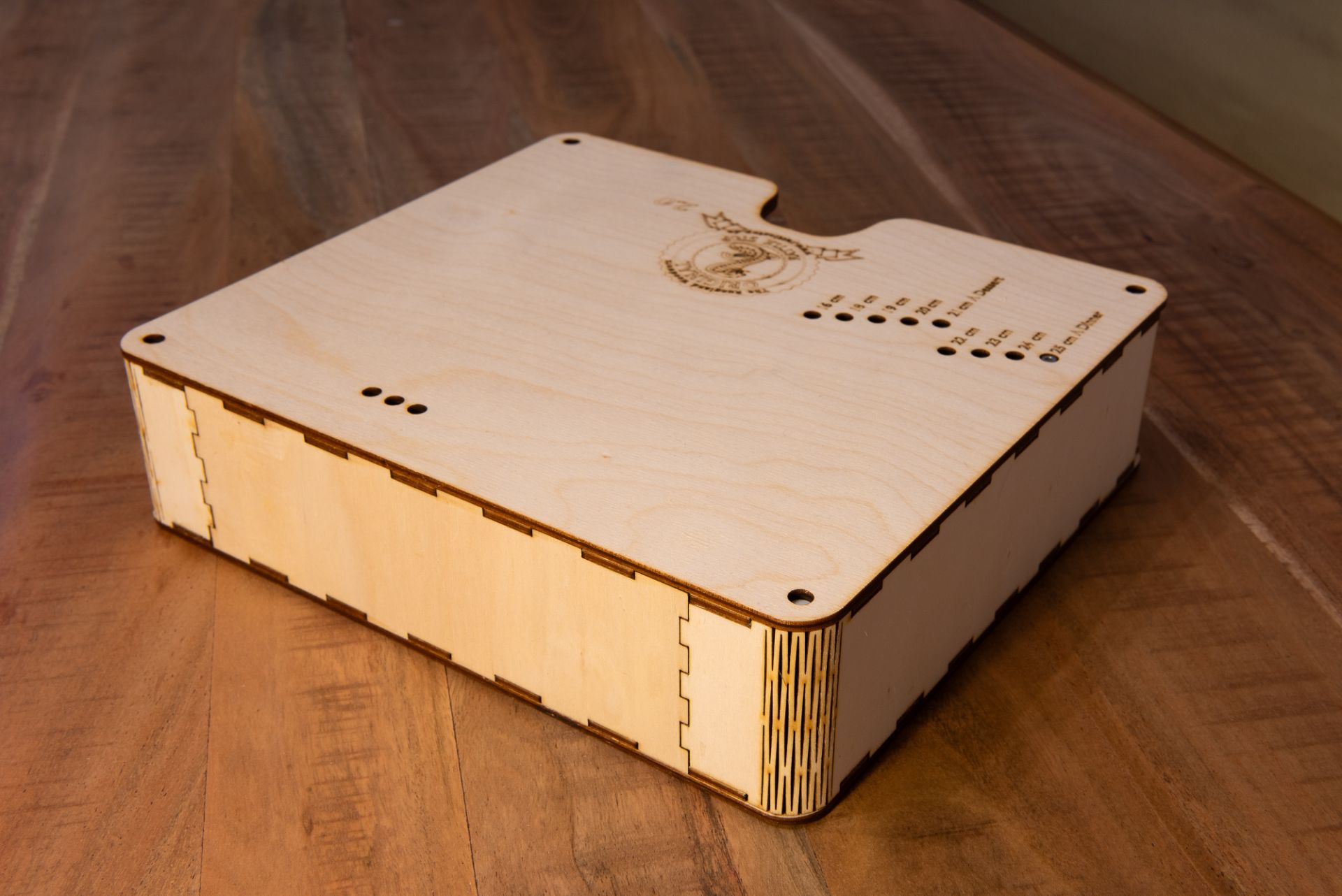 Rattlestop Tellerbox von hinten links